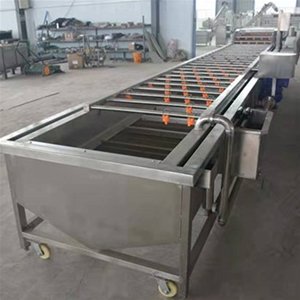 辣椒清洗风干机视频