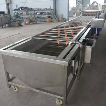 果蔬清洗风干流水线视频