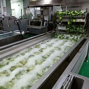 白菜清洗风干流水线视频