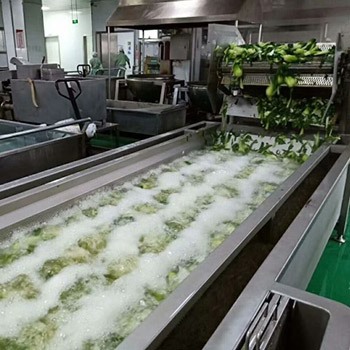 白菜清洗风干流水线视频