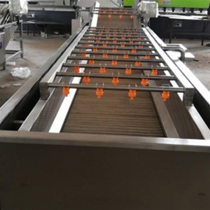 玉米清洗蒸煮漂烫冷却包装流水线视频