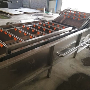 蔬菜气泡清洗发货前试用视频