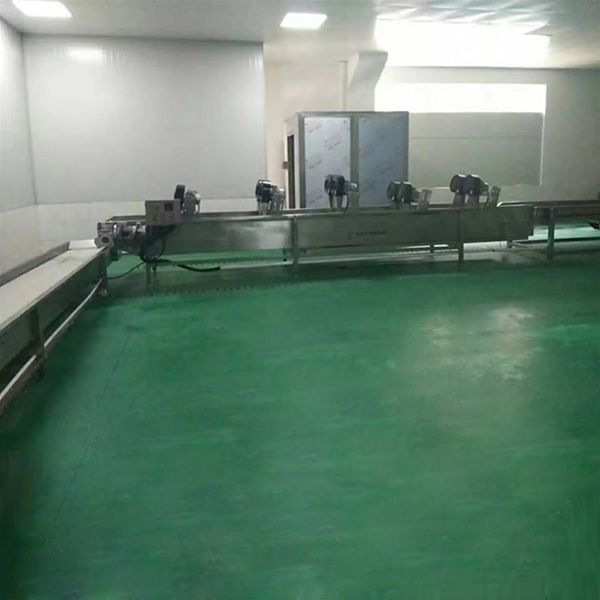 果蔬清洗流水线安装现场