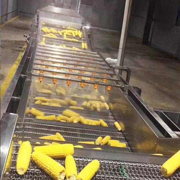 玉米清洗流水线使用
