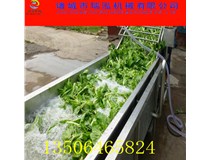 果蔬清洗机为何能成为清洗机行业的领头羊