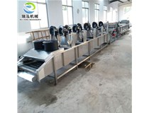 蔬菜清洗风干流水线