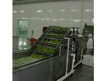 蔬菜清洗流水线流程