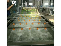 叶类蔬菜清洗机