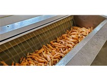 红薯去皮清洗机车间生产现场