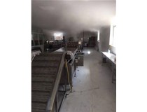 毛豆深加工流水线设备有哪些