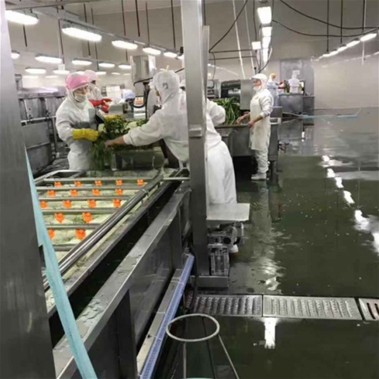 秋葵杀青蒸煮漂烫流水线