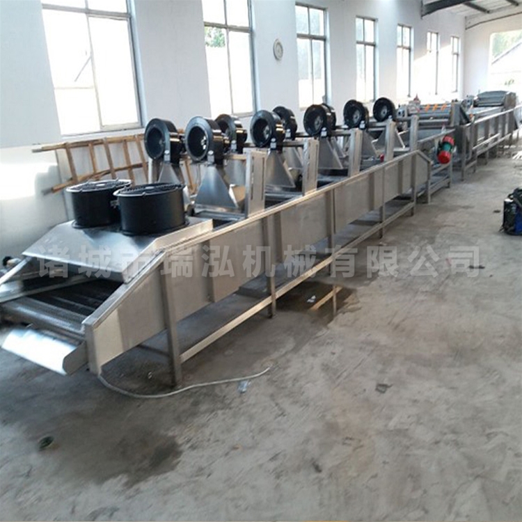 水果清洗风干生产线