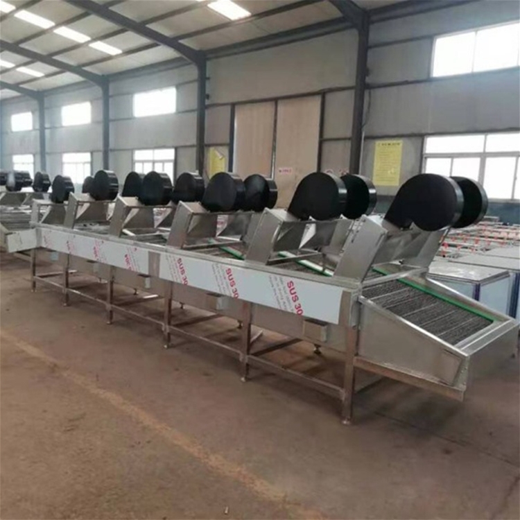 大枣 草莓清洗风干流水线