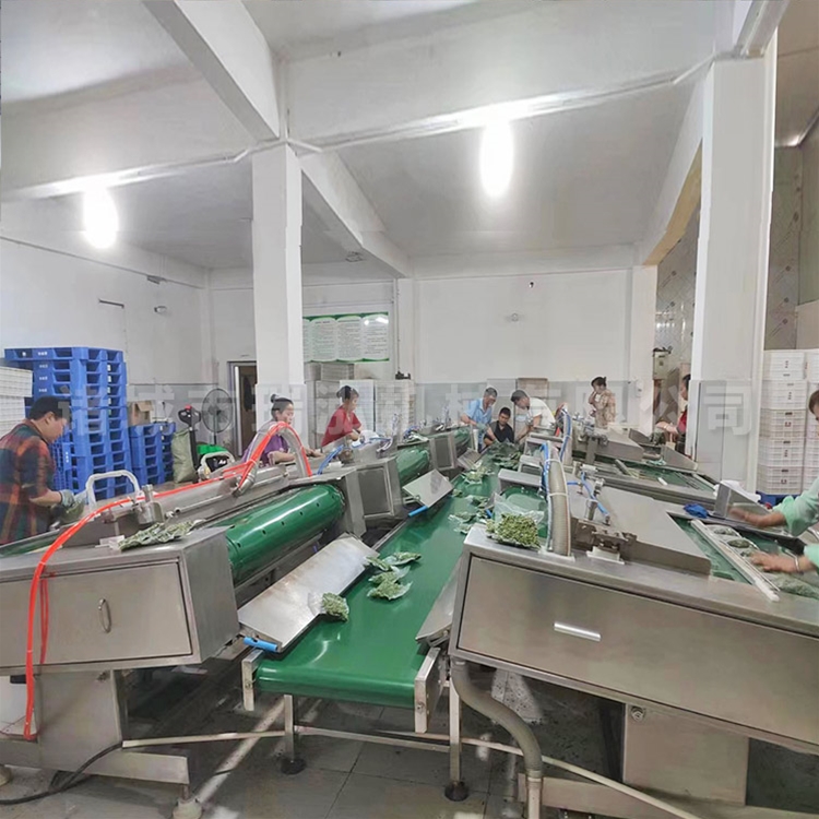 毛豆连续式真空包装机