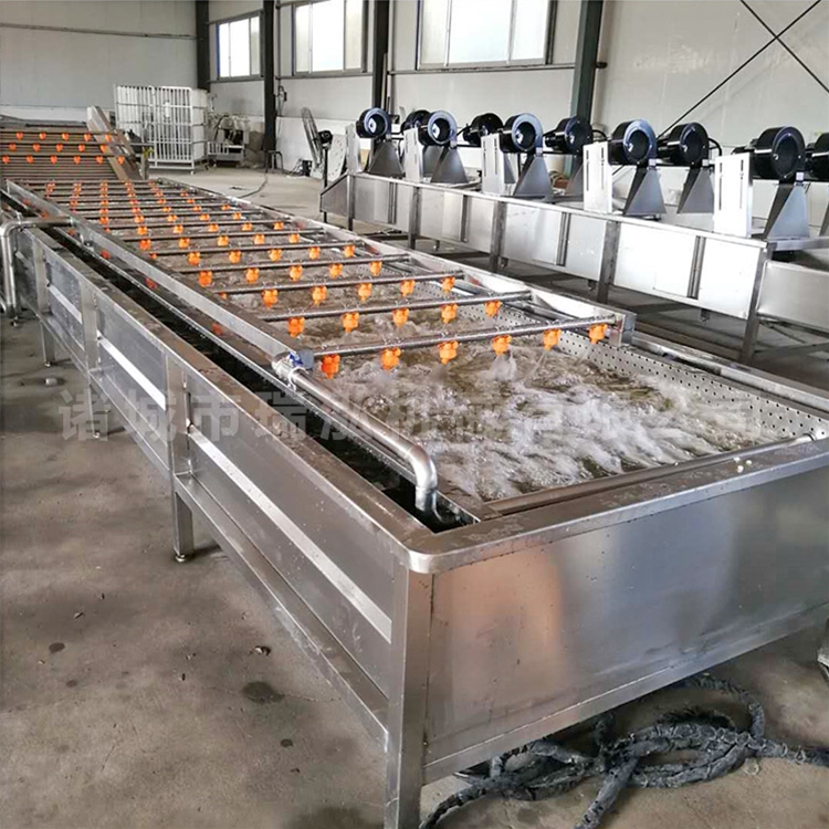   蔬菜保鲜蒸煮漂烫机 果蔬清洗流水线