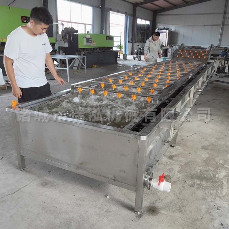 毛豆清洗漂烫杀菌流水线设备