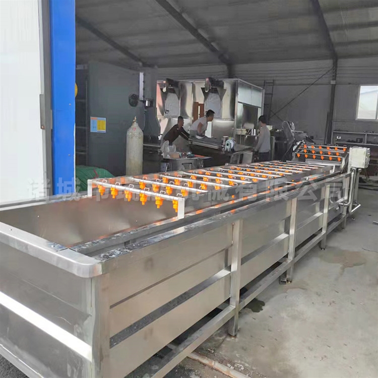 全自动果蔬气泡清洗机