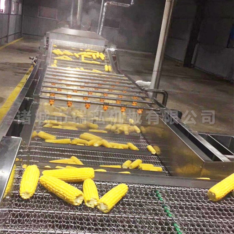 连续式玉米清洗机